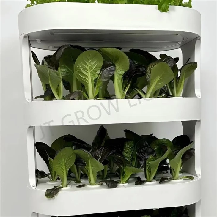 hydroponic garden system